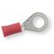 Oogkabelschoen rood M6